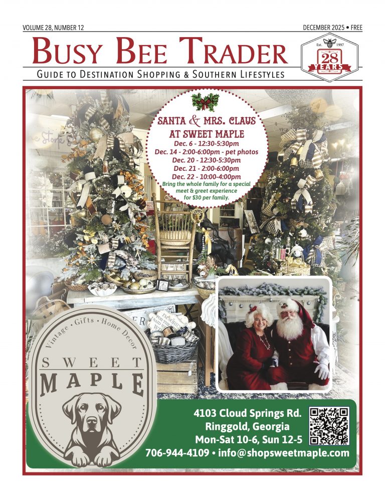 Busy Bee Trader December 2025 magazine